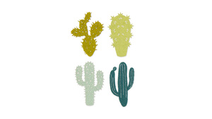 Kaktus - 4 forskellige - Grøn - 16 stk./ps