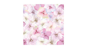 Servietter - 33x33 - Pink hortensia