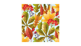 Rowanberry and Forest Leaves