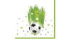 Servietter - 33x33 - Fodbold og stjerner