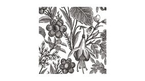 Floral Illustration Black