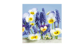 Servietter - 33x33 - Klokkeblomst