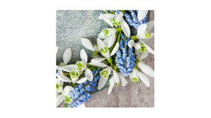 Snowdrops and Grape Hyacinths Wreath on Concrete