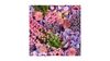 Servietter - 33x33 - Efterrs lilla