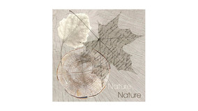 Servietter - 33x33 - Natur